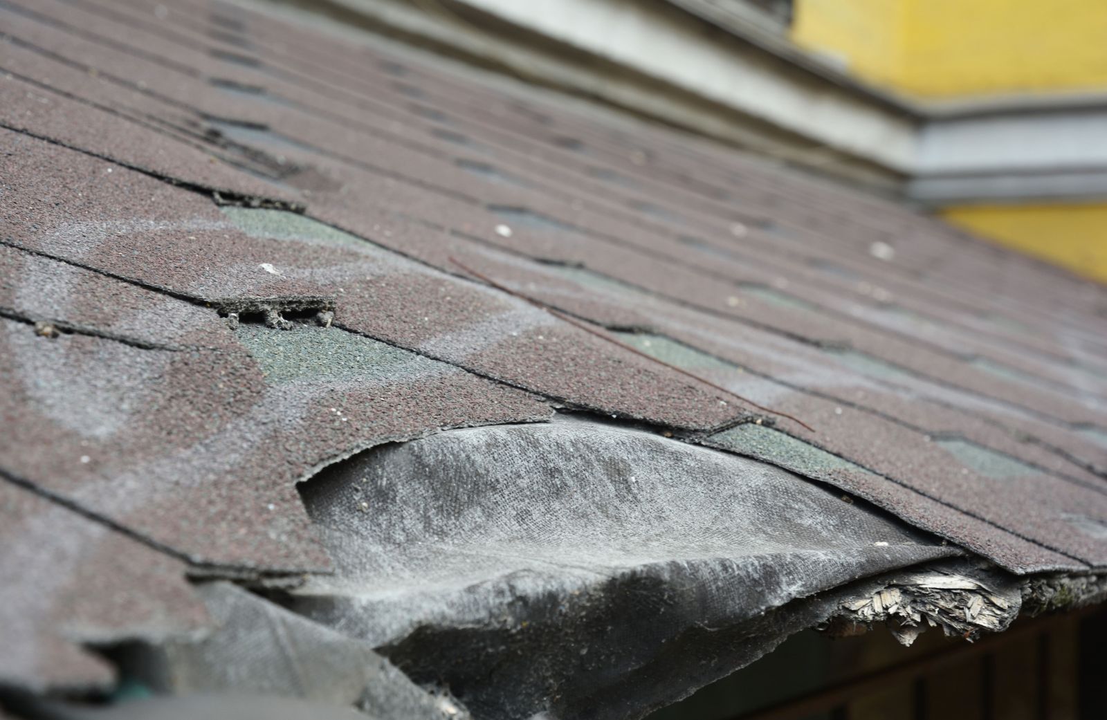 Weatherly Roofing Images