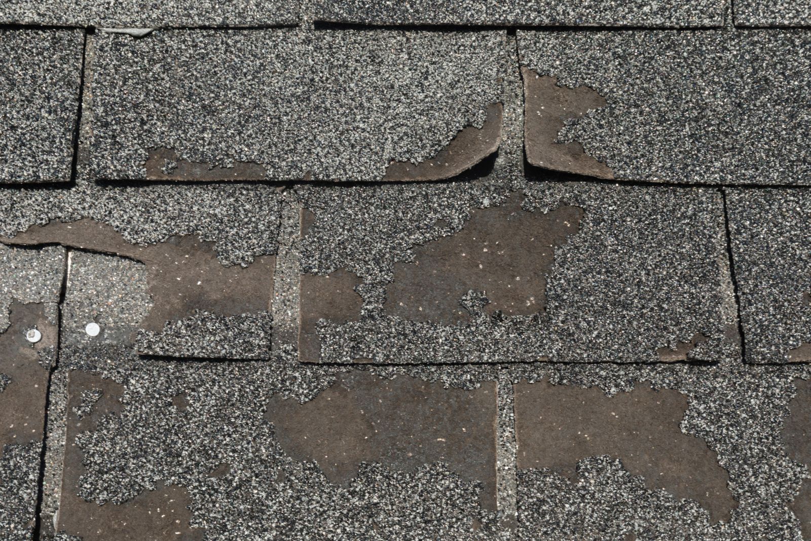 Weatherly Roofing Images